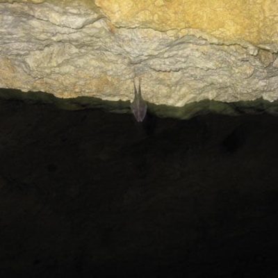 jaskinia-1-12